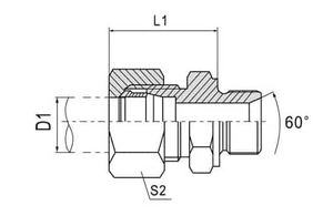 1CM-RN/1DM-RN