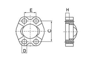 FS-W