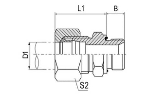 1CM-WD/RN/1DM-WD/RN