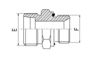 1CM-WD/1DM-WD