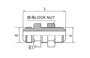 6S-LN